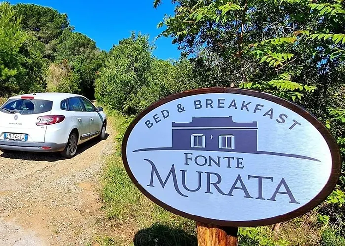 Fonte Murata 4*