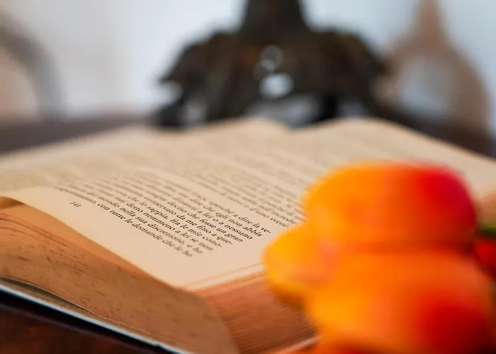 Fonte Murata 포르토페라이오